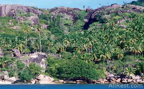 Felicite Private Island Exclusive 16